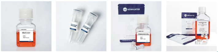 1755842001149016.png 1 (4).png