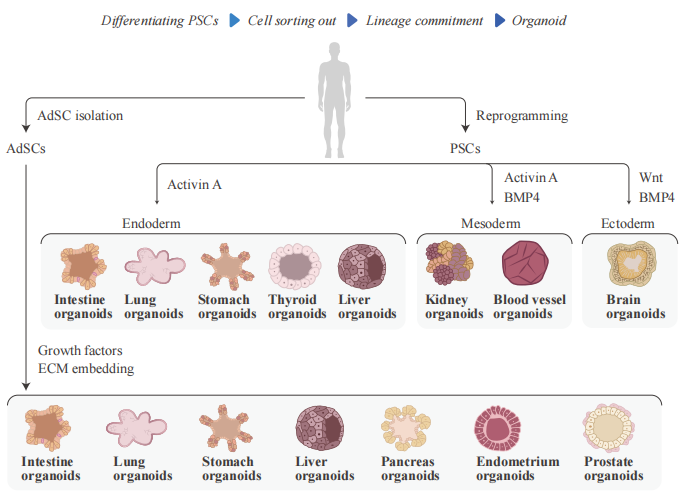 1755842008316457.png 1 (5).png