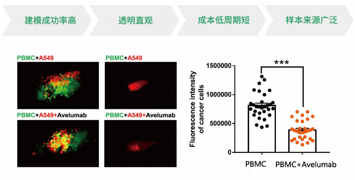 1755842038248316.png 1 (9).png