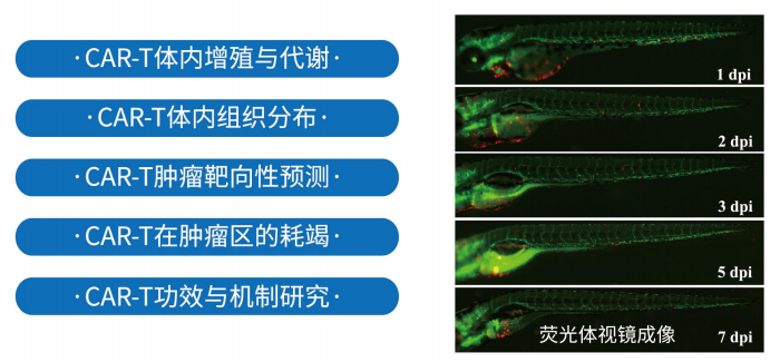 1755842044866179.png 1 (10).png