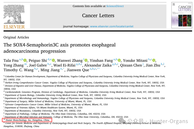 Cancer Letters丨类器官模型证实SOX4-SEMA3C轴是食管腺癌进展的“加速器”！