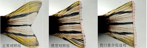 1758074131948982.png image.png