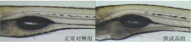 1758075447128130.png image.png