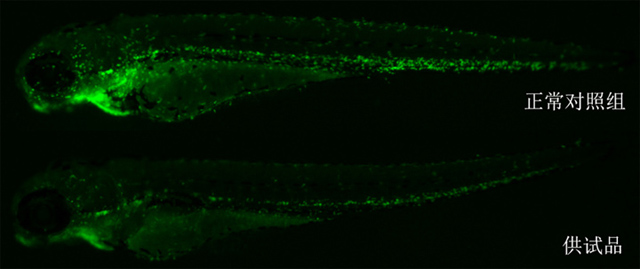 1758075734144654.jpg 17-2.jpg