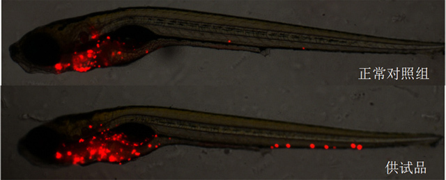 1758075745150894.jpg 17-3.jpg