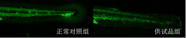 1758087081643176.jpg 16-3.jpg