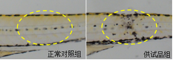 1758087089891409.jpg 16-4.jpg