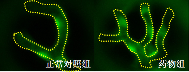 1758087232618576.jpg 23-3.jpg