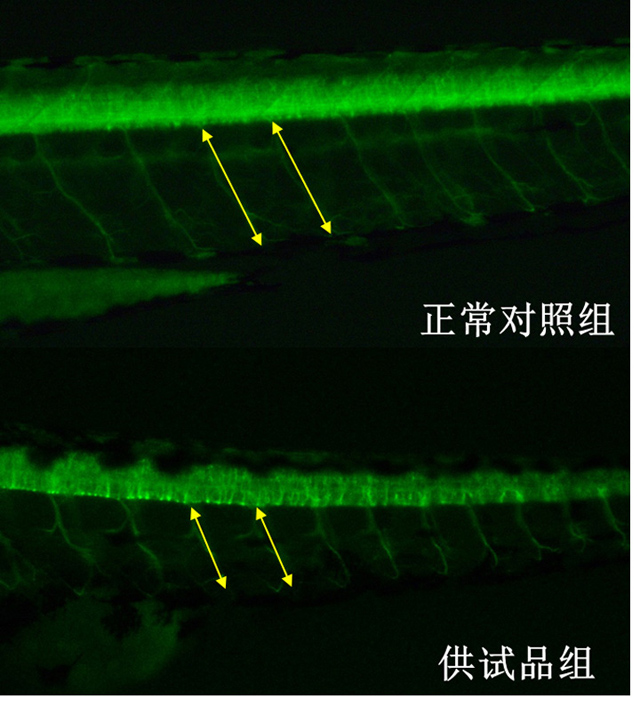 1758088318532376.jpg 8-4.jpg