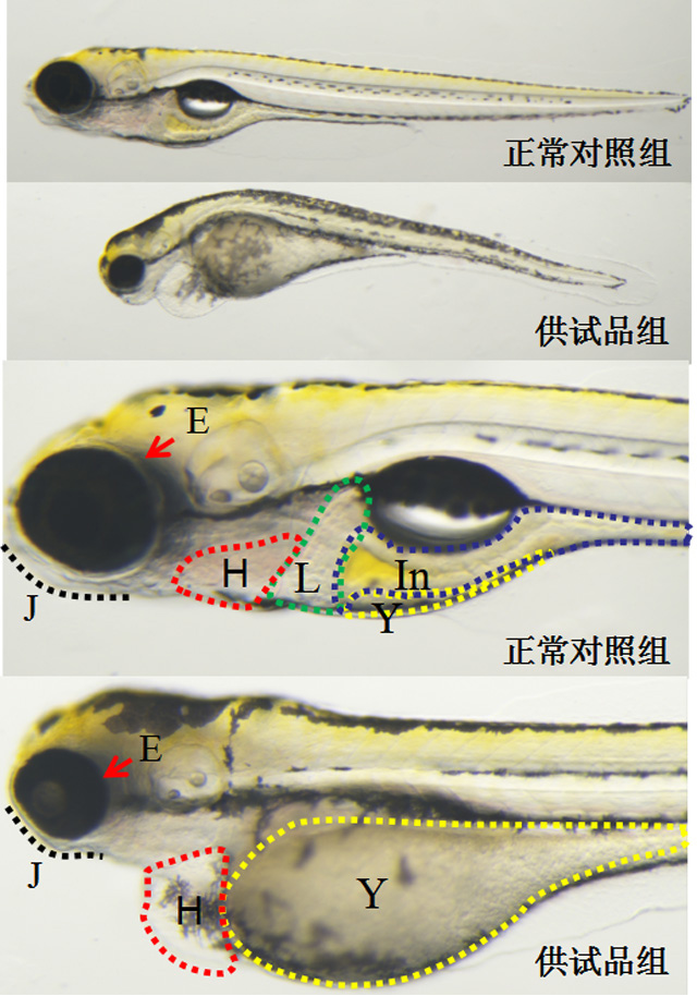 1758088723197820.jpg 2-2.jpg