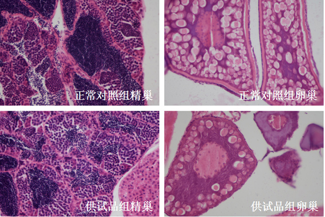 1758088734980761.jpg 2-3.jpg