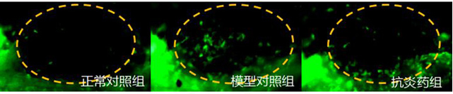 1758093230123251.png image.png