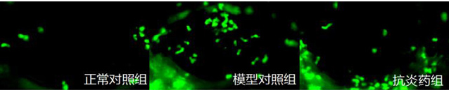 1758093244639593.png image.png