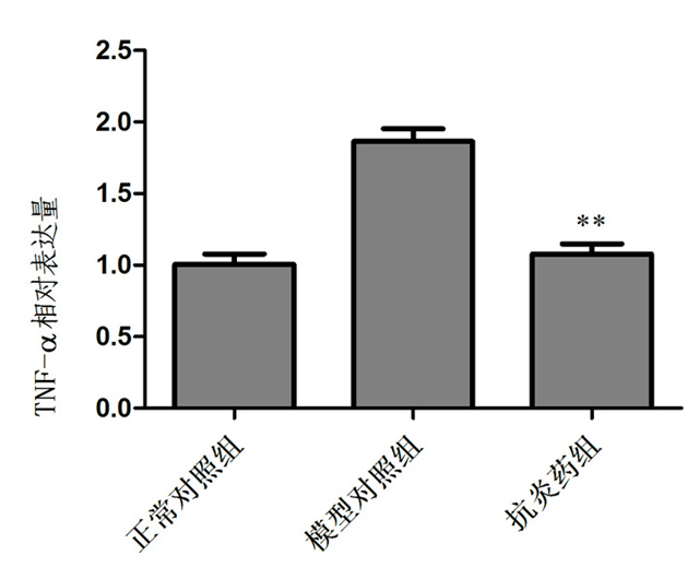 1758093257174720.jpg 16-3.jpg