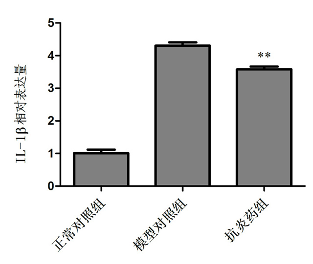 1758093265167116.jpg 16-4.jpg