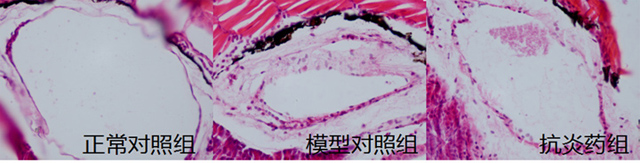 1758093273213229.jpg 16-5.jpg