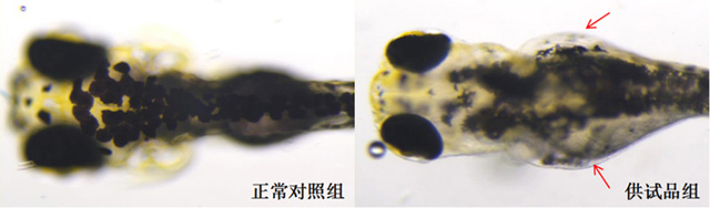 1758094637166557.jpg 14-1.jpg