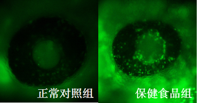 1758096062114664.jpg 19-2.jpg