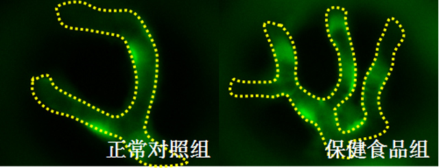 1758096073445580.jpg 19-3.jpg