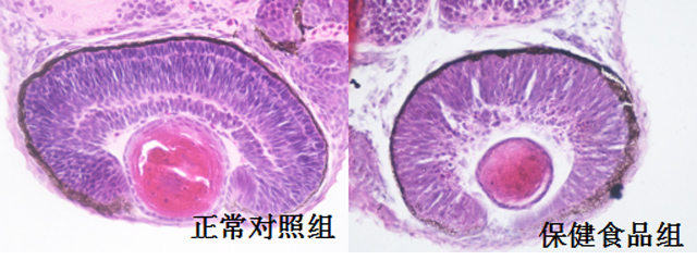 1758096083205219.jpg 19-4.jpg