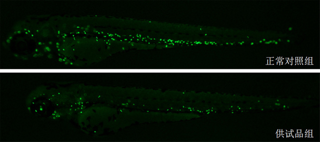 1758096203150854.jpg 15-1.jpg