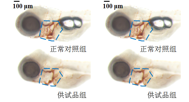 1758096217122688.jpg 15-3.jpg