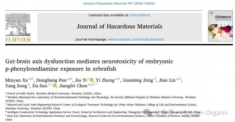 JHM丨斑马鱼揭示肠-脑轴功能紊乱介导PPDs神经毒性新机制！