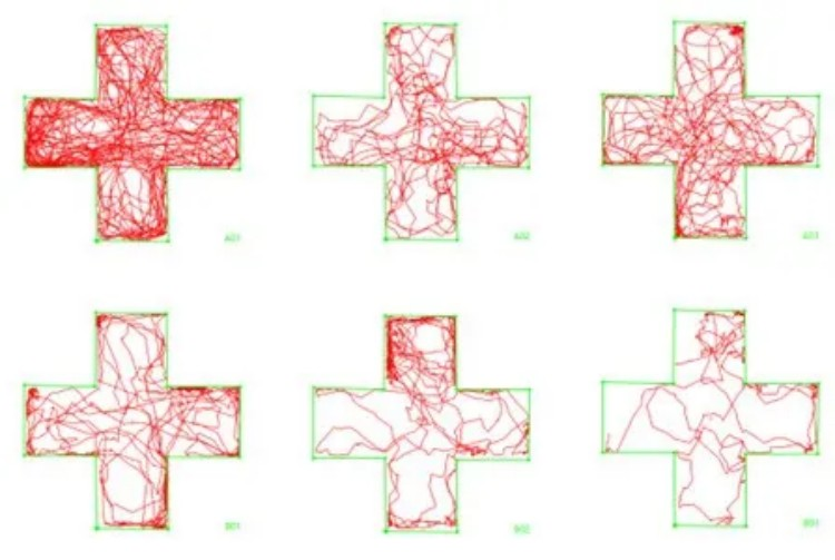 行为学研究范式（二）丨斑马鱼学习与认知行为实验与应用