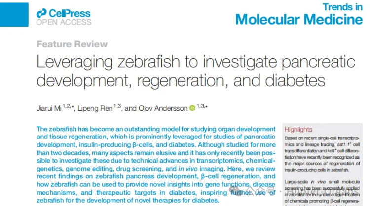 Trends Mol Med.丨利用斑马鱼破解胰腺发育与再生密码，糖尿病治疗迎来新希望
