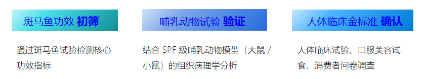 1761186735157422.png 2-三级技术体系.png