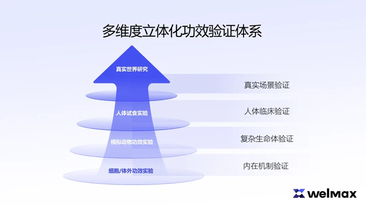 1762996508177349.jpg 3.jpg