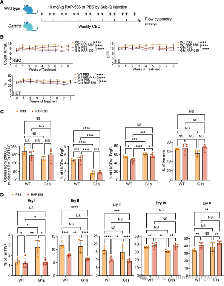 1764125701165781.jpg 4.jpg