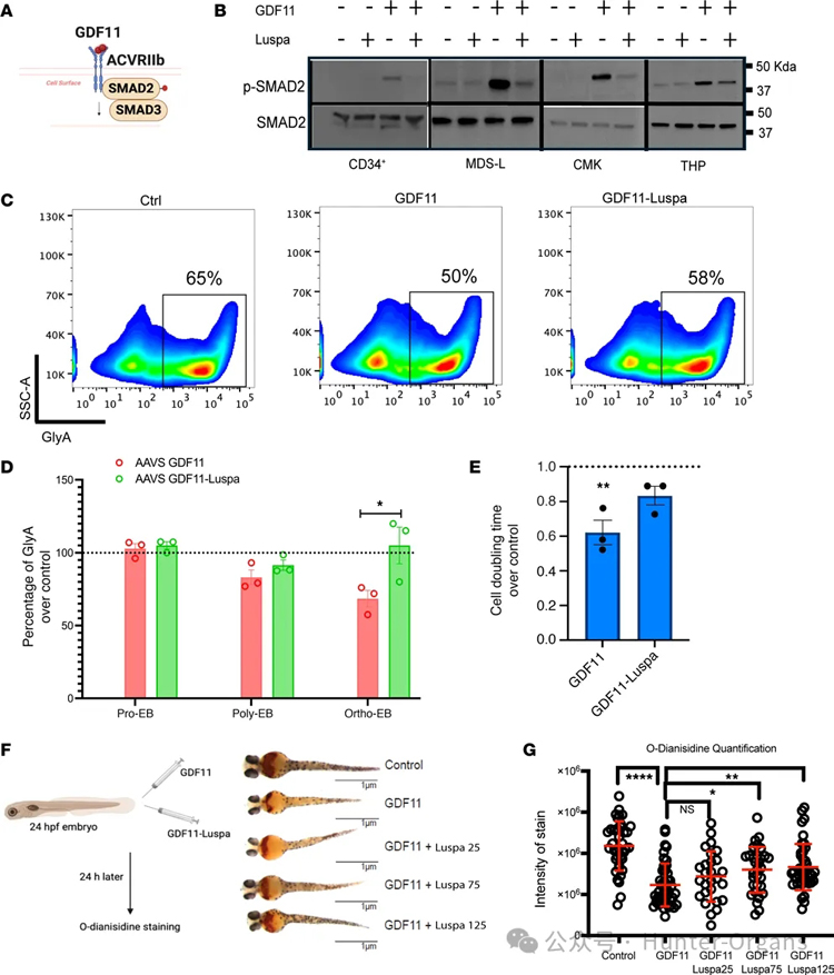 1764125710149368.jpg 2.jpg