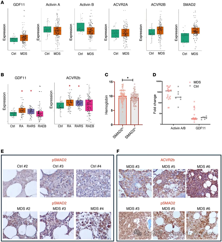 1764125713338883.jpg 1.jpg