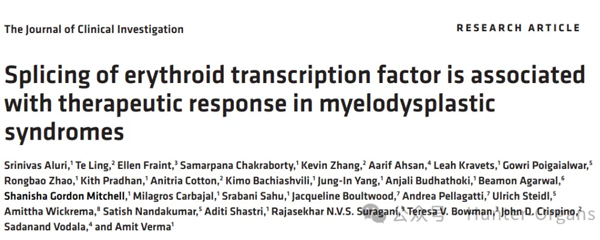 IF=13.6丨JCI：破解贫血之谜！斑马鱼等多模型揭示骨髓增生异常综合征贫血根源