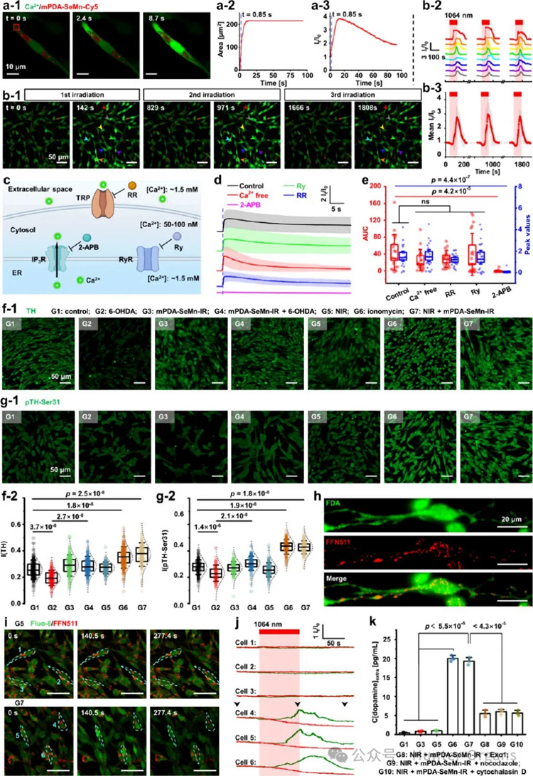 1766996760107275.jpg 5.jpg