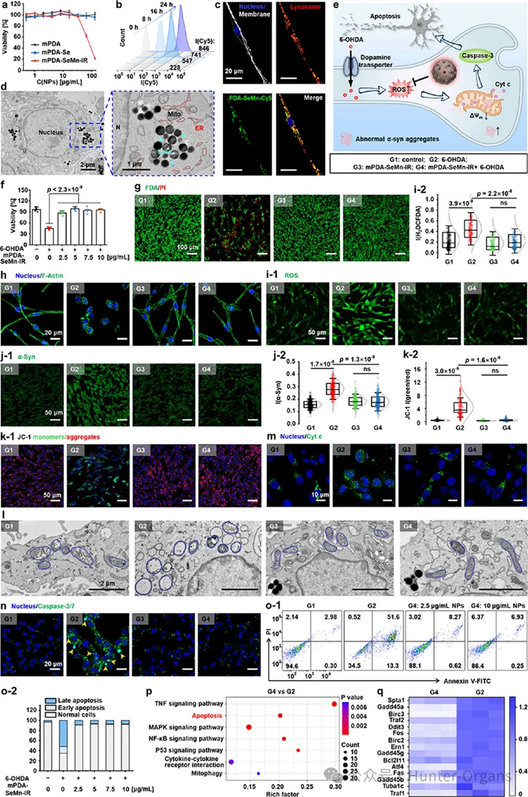 1766996764715516.jpg 4.jpg