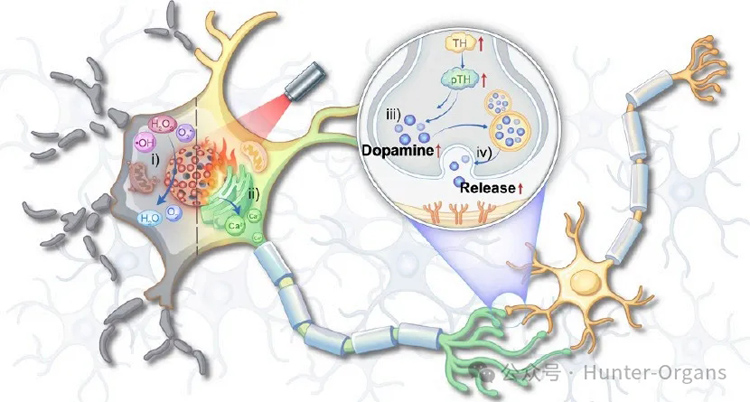 1766996778381830.jpg 00.jpg