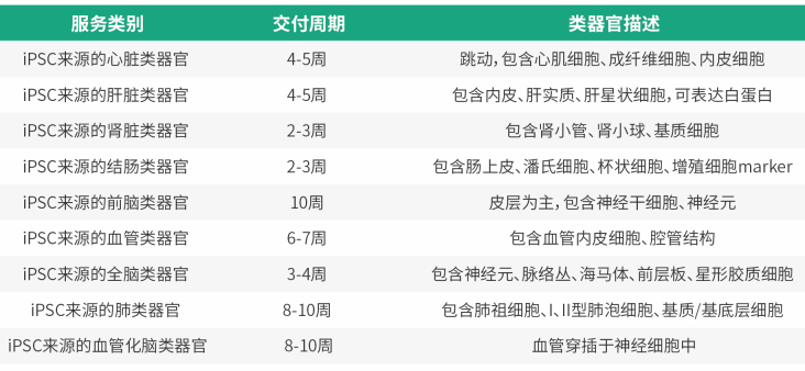 iPSC诱导分化类器官服务