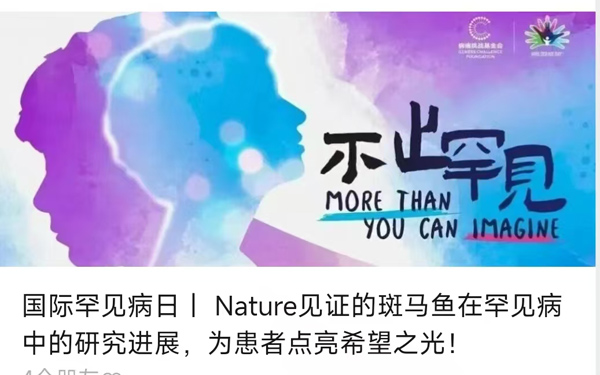 国际罕见病日丨 Nature见证的斑马鱼在罕见病中的研究进展，为患者点亮希望之光！