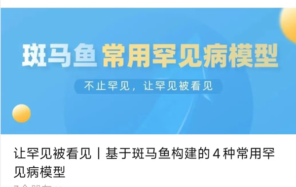 让罕见被看见丨基于斑马鱼构建的4种常用罕见病模型