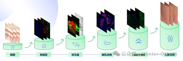 1775787168132483.jpg 1.jpg