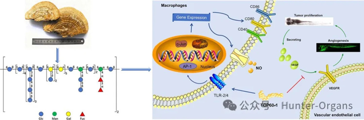 1775787172297226.jpg 2.jpg