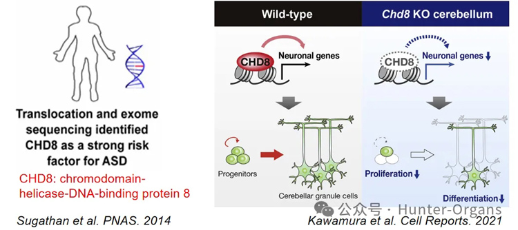 1775787176209428.jpg 3.jpg