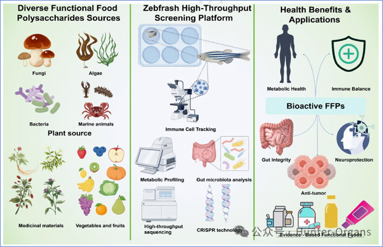 1775787180105158.jpg 4.jpg