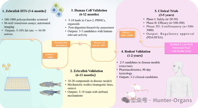 1775787185114528.jpg 5.jpg