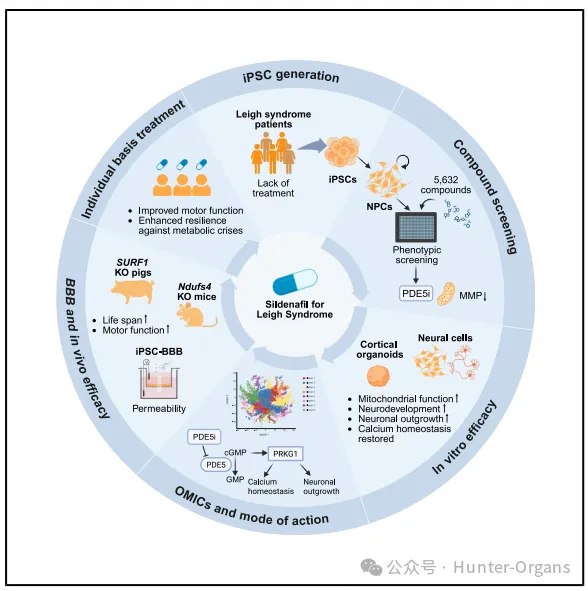 1776308506660895.jpg 7.jpg