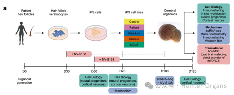 1776308509186357.jpg 6.jpg