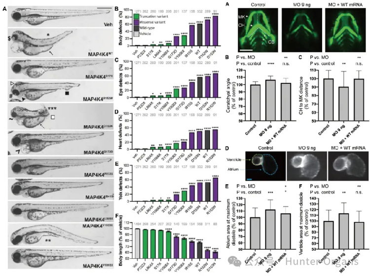 1776308516313280.jpg 5.jpg