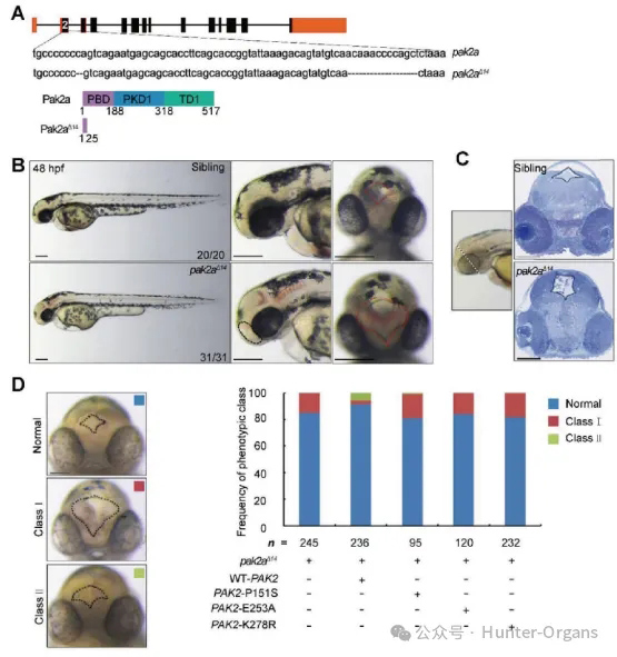 1776308546137922.jpg 4.jpg